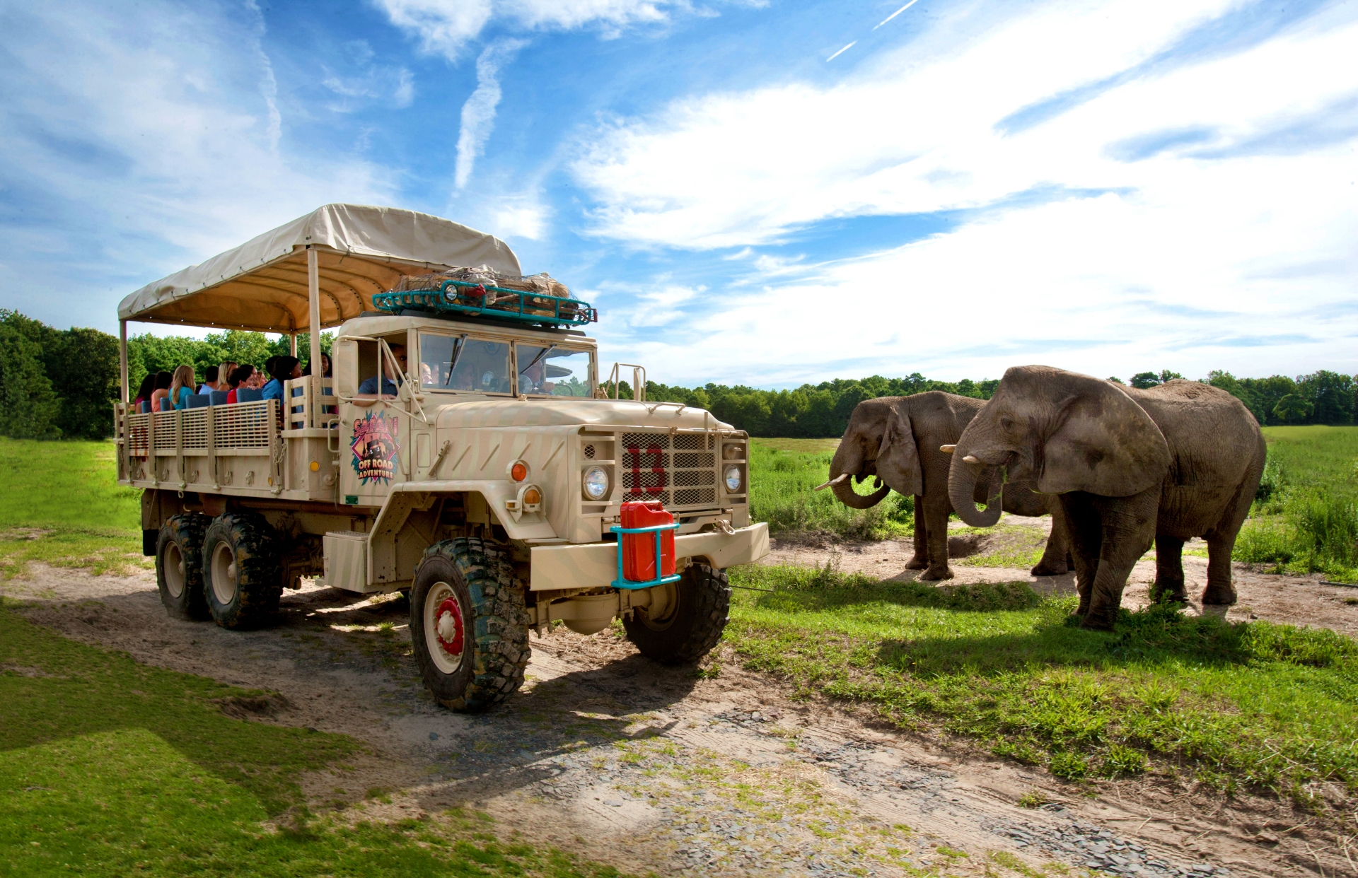 Wild Safari Six Flags Great Adventure Resort Animal Encounter